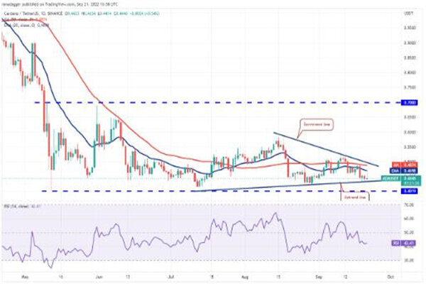艾达币今日最新价格 ADA最新行情消息-第3张图片-芝麻交易所下载